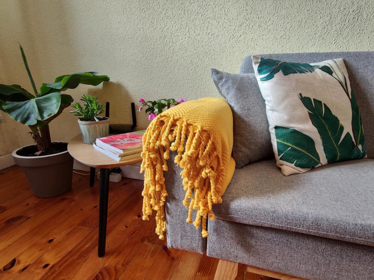 Apartamento Plaza De La Paz 哈罗 外观 照片